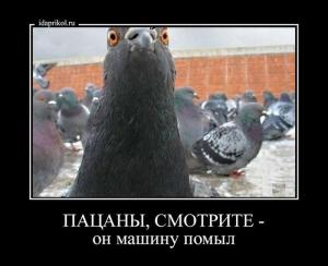 Автомобильные демотиваторы часть 298)