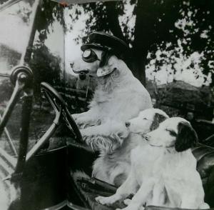 Автомобильная фотоподборка часть 299)