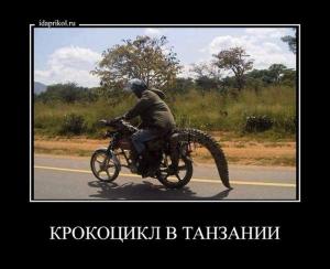 Автомобильные демотиваторы часть 300)