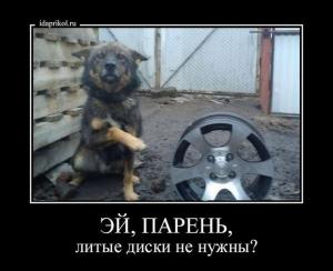 Автомобильные демотиваторы часть 302)