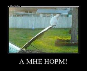 Автомобильные демотиваторы часть 302)
