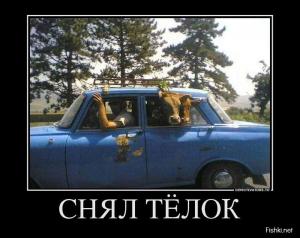 Автомобильные демотиваторы часть 303)