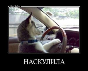 Автомобильные демотиваторы часть 304)