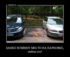 Автомобильные демотиваторы часть 304)