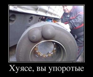 Автомобильные демотиваторы часть 305)