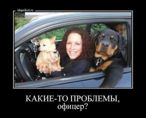 Автомобильные демотиваторы часть 306)