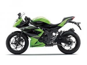 2014 Kawasaki Ninja RR Mono