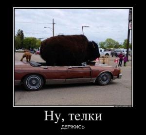 Автомобильные демотиваторы часть 306)