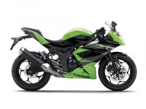 2014 Kawasaki Ninja RR Mono