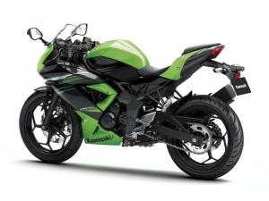 2014 Kawasaki Ninja RR Mono