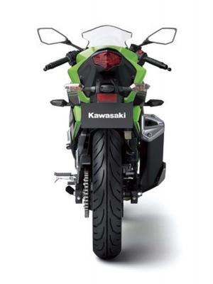 2014 Kawasaki Ninja RR Mono