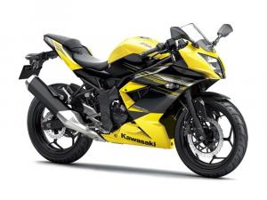 2014 Kawasaki Ninja RR Mono