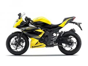2014 Kawasaki Ninja RR Mono