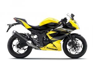 2014 Kawasaki Ninja RR Mono