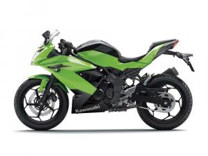2014 Kawasaki Ninja RR Mono
