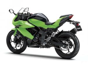 2014 Kawasaki Ninja RR Mono