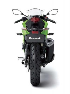2014 Kawasaki Ninja RR Mono