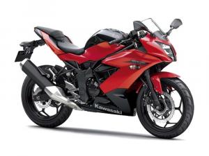 2014 Kawasaki Ninja RR Mono