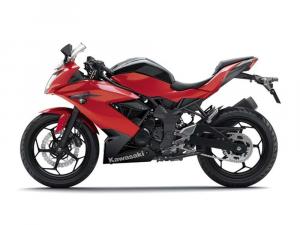 2014 Kawasaki Ninja RR Mono