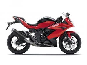 2014 Kawasaki Ninja RR Mono