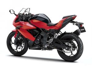 2014 Kawasaki Ninja RR Mono