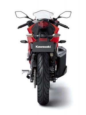 2014 Kawasaki Ninja RR Mono