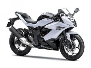 2014 Kawasaki Ninja RR Mono