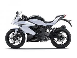 2014 Kawasaki Ninja RR Mono