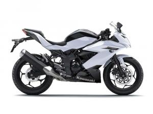 2014 Kawasaki Ninja RR Mono