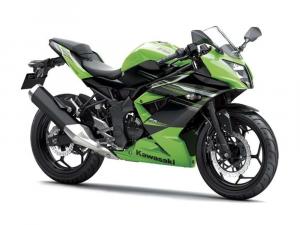 2014 Kawasaki Ninja RR Mono
