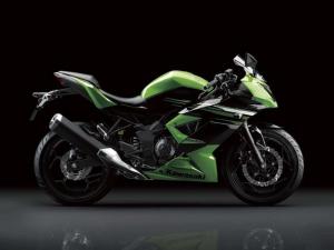 2014 Kawasaki Ninja RR Mono