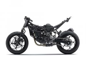 2014 Kawasaki Ninja RR Mono