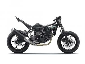 2014 Kawasaki Ninja RR Mono