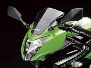 2014 Kawasaki Ninja RR Mono