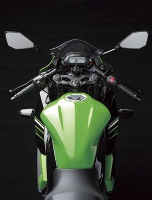2014 Kawasaki Ninja RR Mono