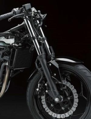 2014 Kawasaki Ninja RR Mono