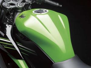 2014 Kawasaki Ninja RR Mono