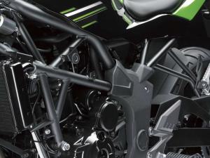 2014 Kawasaki Ninja RR Mono