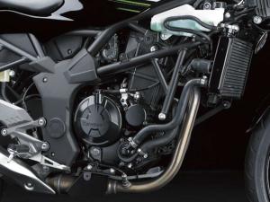 2014 Kawasaki Ninja RR Mono