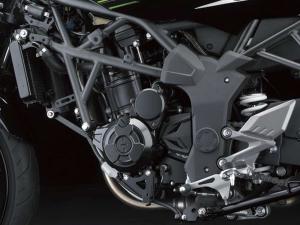 2014 Kawasaki Ninja RR Mono