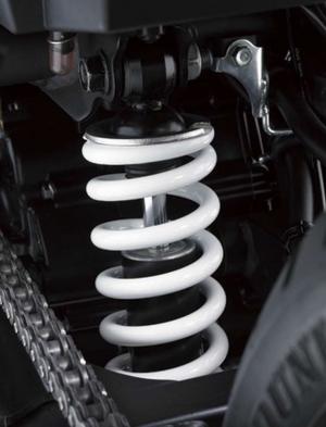 2014 Kawasaki Ninja RR Mono