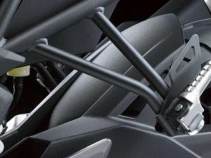 2014 Kawasaki Ninja RR Mono