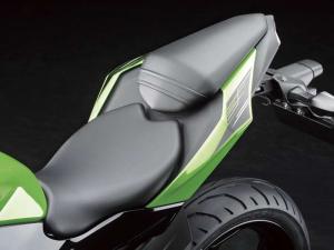 2014 Kawasaki Ninja RR Mono