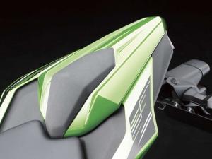 2014 Kawasaki Ninja RR Mono