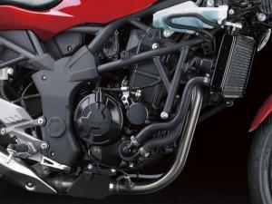 2014 Kawasaki Ninja RR Mono