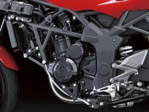2014 Kawasaki Ninja RR Mono