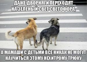 Автомобильные демотиваторы часть 309)