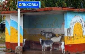Автомобильная фотоподборка часть 310)