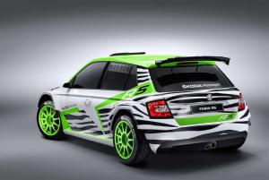 2014 Skoda Fabia R5 Concept