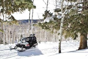 2014 Polaris Turbo IQ LXT